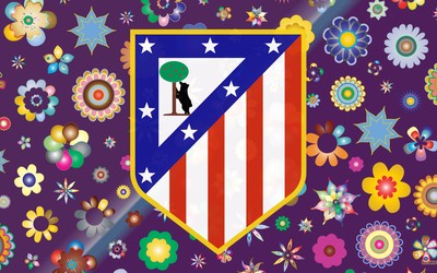 华体会电竞精华-全民追问